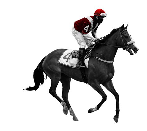 api horse racing|horse racing betting markets.